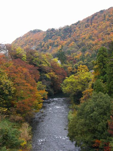 c0152123_234573.jpg