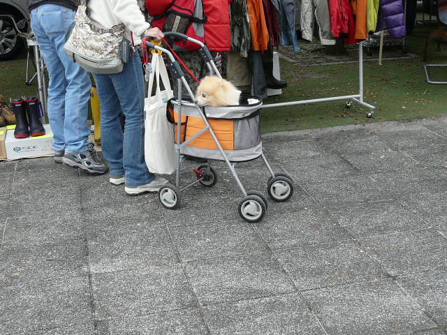 e0147226_1929776.jpg