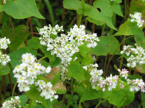 f0060530_14312857.jpg