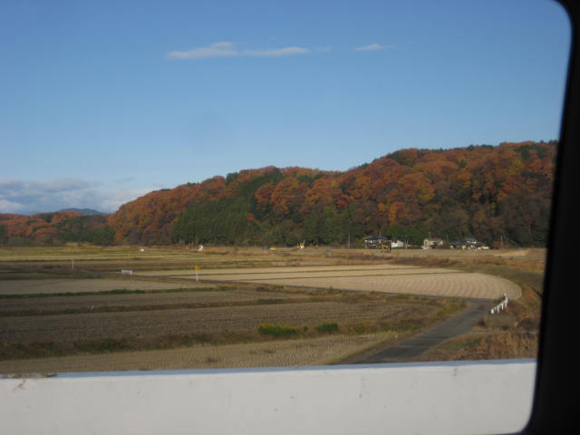 e0166032_1420060.jpg