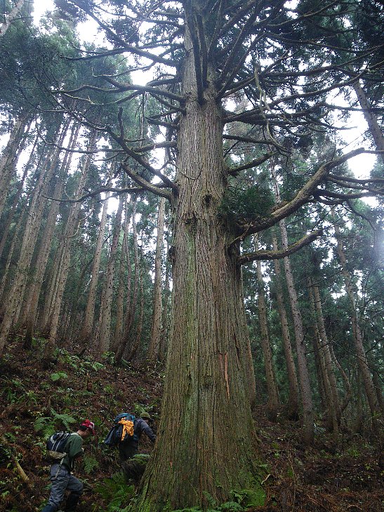 f0118332_213791.jpg