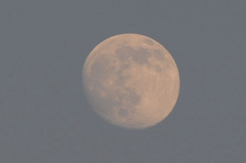 a0017634_19433737.jpg