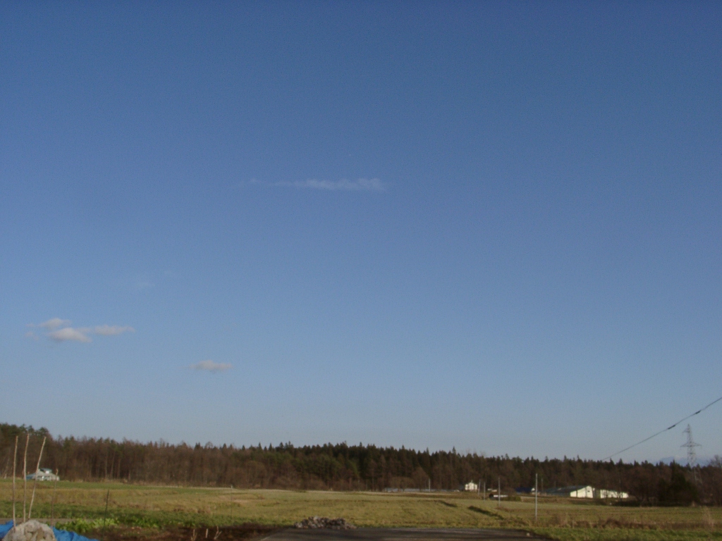 d0007735_15445088.jpg