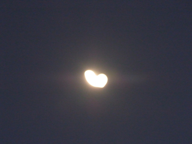 e0188939_1771044.jpg