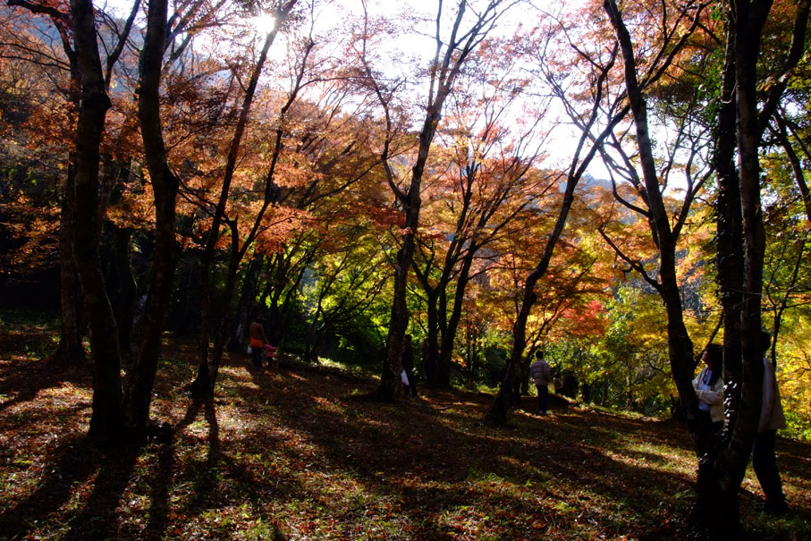 b0075541_19261679.jpg