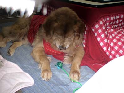 e0023643_22541968.jpg