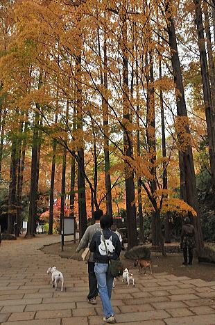 f0094843_23275515.jpg