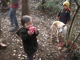 b0157246_21212447.jpg