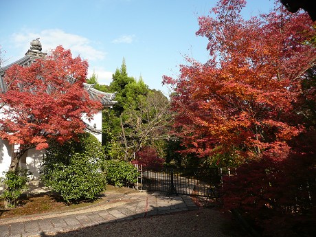 c0057946_19462358.jpg
