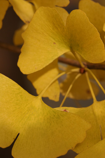 a0120949_7162797.jpg