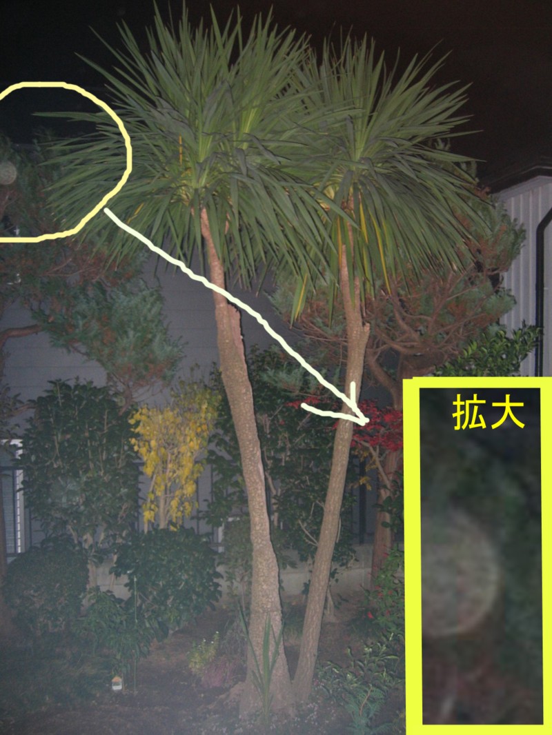 d0075649_1075310.jpg