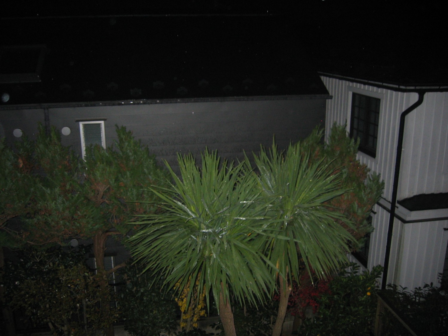 d0075649_1336100.jpg
