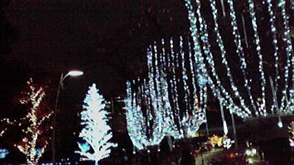 a0088456_22283936.jpg