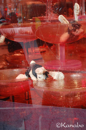 f0099556_825065.jpg
