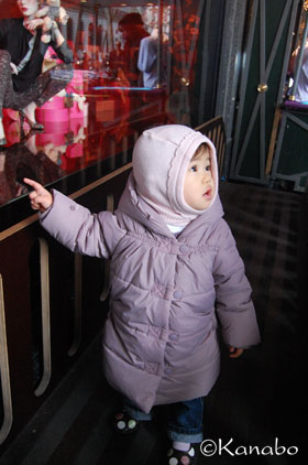 f0099556_844098.jpg