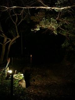 f0201157_039172.jpg