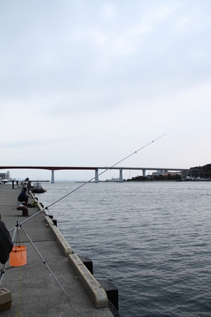 f0021558_6514087.jpg