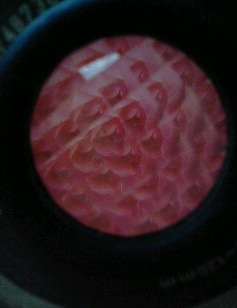 e0133561_22594349.jpg