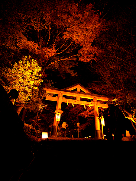 f0052269_20225677.jpg