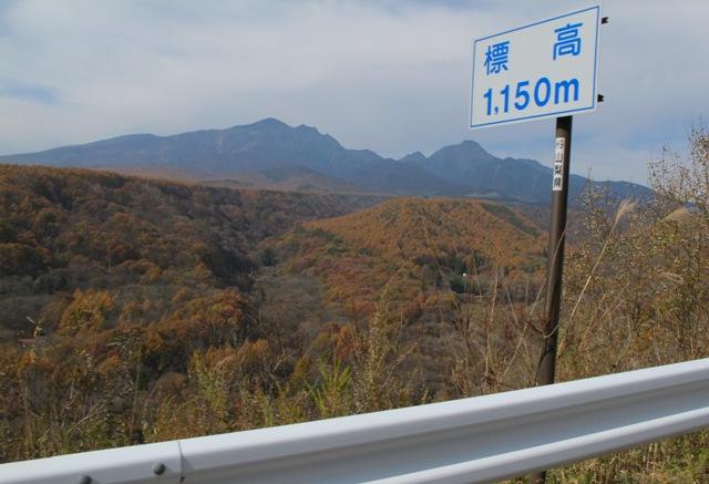a0091680_12279.jpg