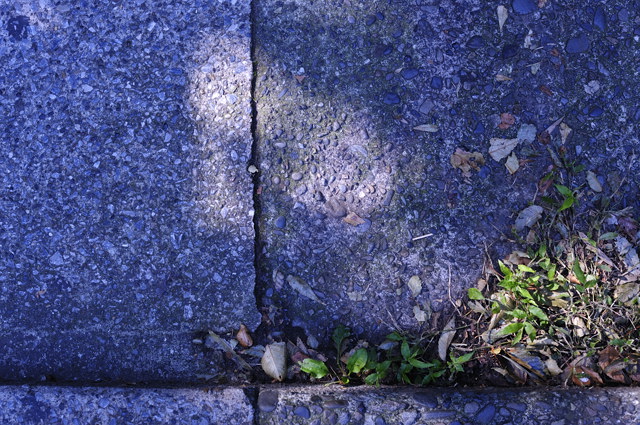 b0102780_0531350.jpg
