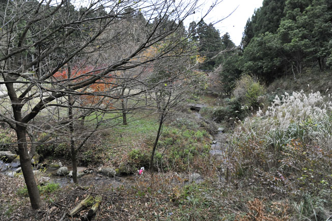 f0112087_15335471.jpg