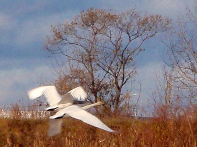 a0007388_10521834.jpg