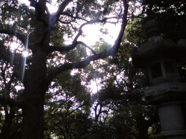 c0122788_1572031.jpg