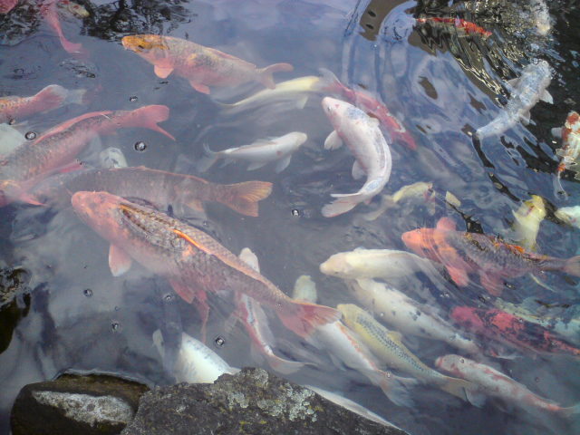 c0122788_2135665.jpg