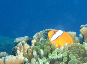 c0018489_23113624.jpg