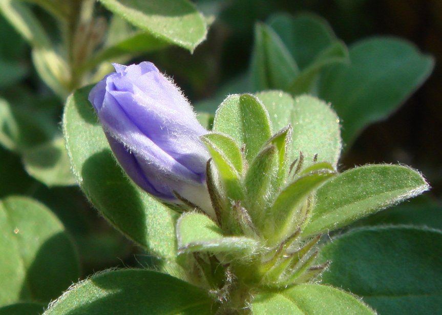 e0111793_12213091.jpg