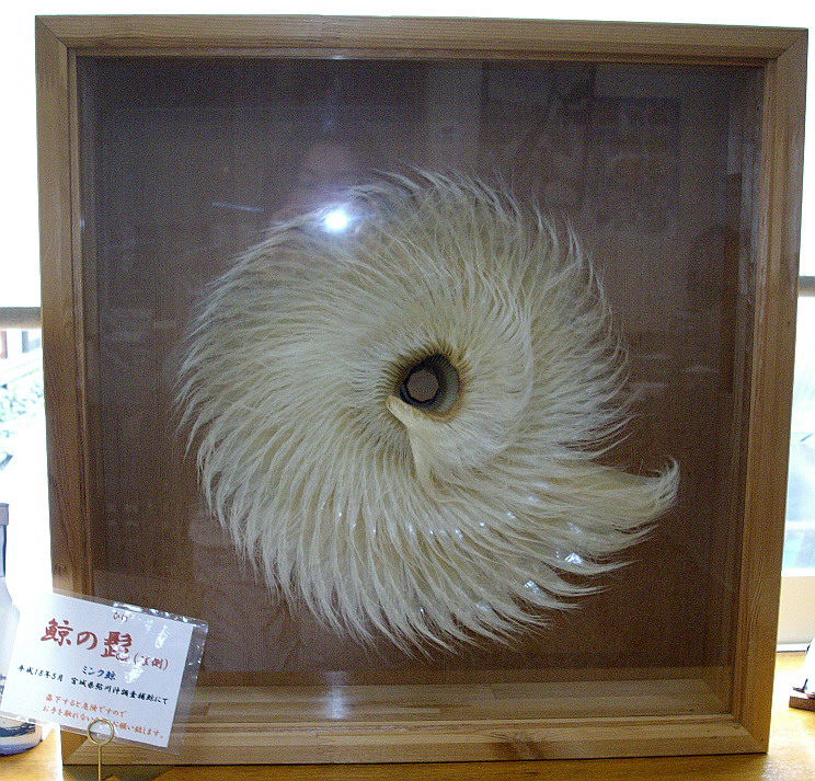 c0138198_16443637.jpg