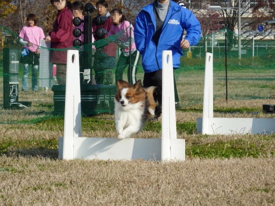 c0044199_23344692.jpg