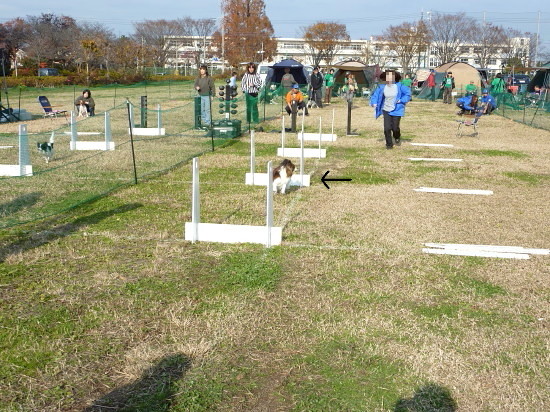 c0044199_23401489.jpg