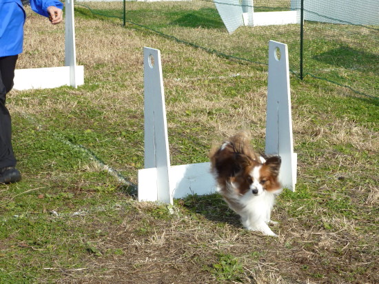 c0044199_2341575.jpg