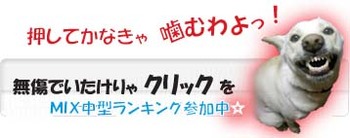 にほんブログ村 犬ブログ MIX中型犬へ