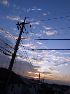 a0117102_2202194.jpg
