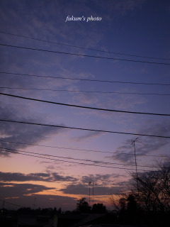 a0117102_2203436.jpg