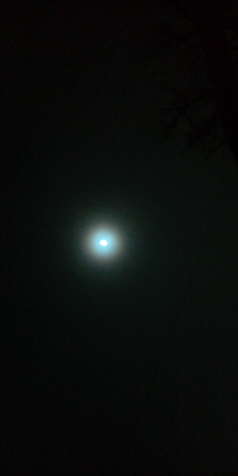 e0126302_23463469.jpg