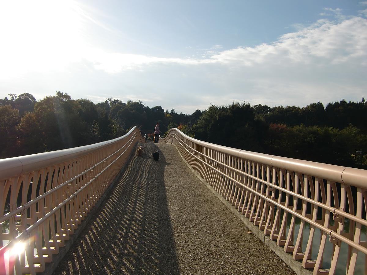 a0134004_1437242.jpg