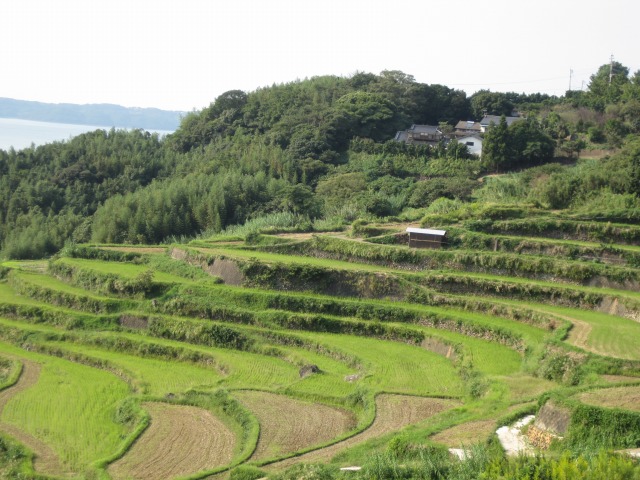 e0183804_0111531.jpg