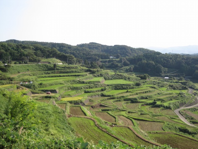 e0183804_011475.jpg