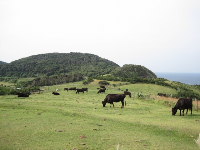 e0183804_0302526.jpg