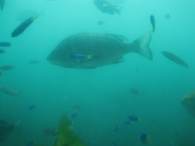 e0183804_085564.jpg