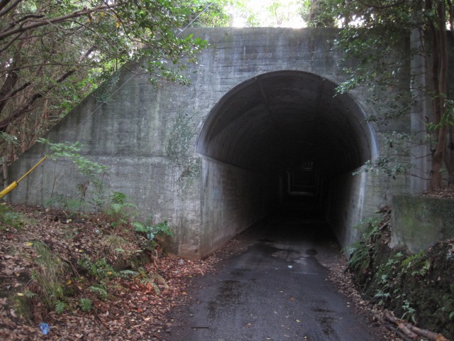 e0183804_1591827.jpg