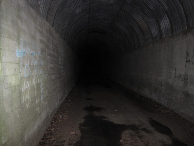 e0183804_1593098.jpg