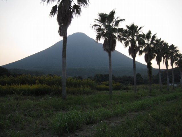 e0183804_159462.jpg