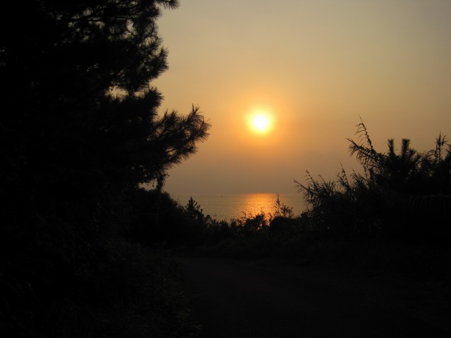 e0183804_1595060.jpg