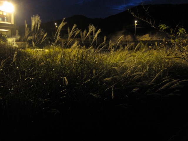 e0183804_172725.jpg