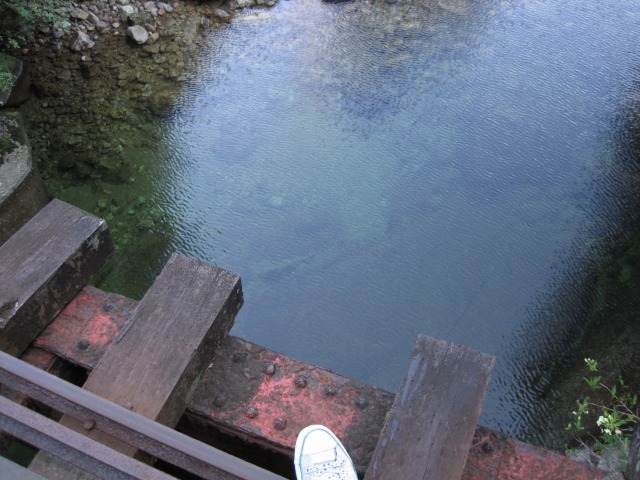 e0183804_2493618.jpg